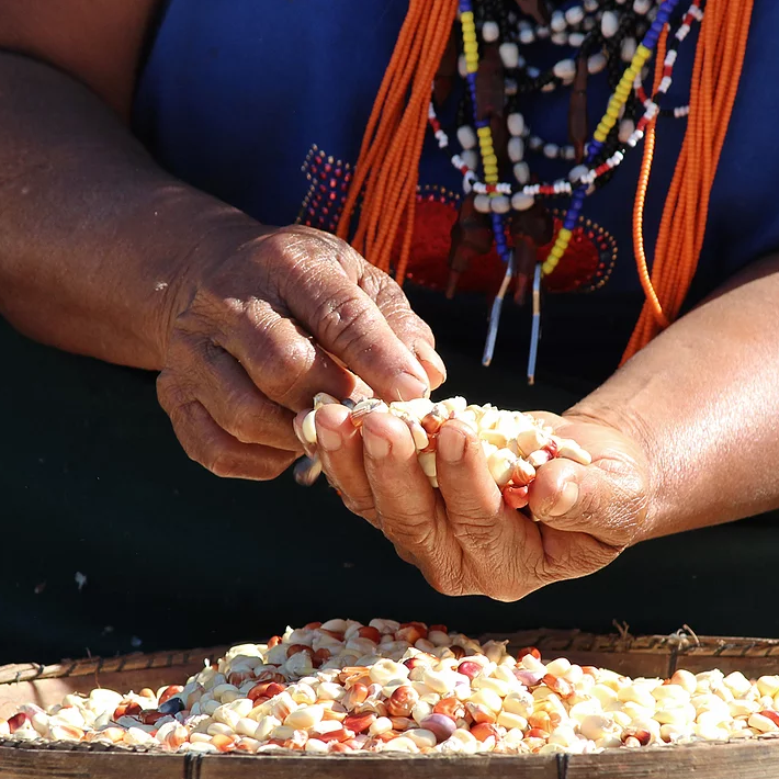 is a partnership between the forum of traditional communities of Angra dos Reis (RJ), Paraty (RJ) and Ubatuba (SP).

The aim is promoting well-being, expanding and qualifying sustainable development in the traditional territories of the Bocaina region along with caiçara, indigenous and quilombola traditional populations.
